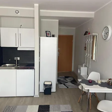 Business Duo Apartment Mainz